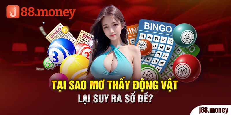 Tại sao mơ thấy động vật lại suy ra số đề?