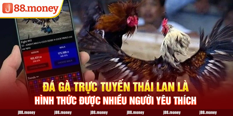 Đá gà trực tuyến Thái Lan là hình thức được nhiều người yêu thích