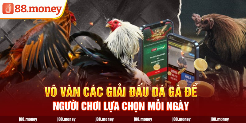 Vô vàn các giải đấu để người chơi lựa chọn mỗi ngày