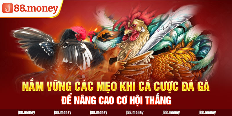 Nắm vững các mẹo khi chơi để nâng cao cơ hội thắng