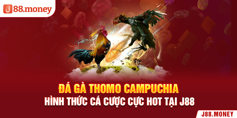 Đá gà Thomo Campuchia - Hình Thức Cá Cược Cực Hot Tại J88