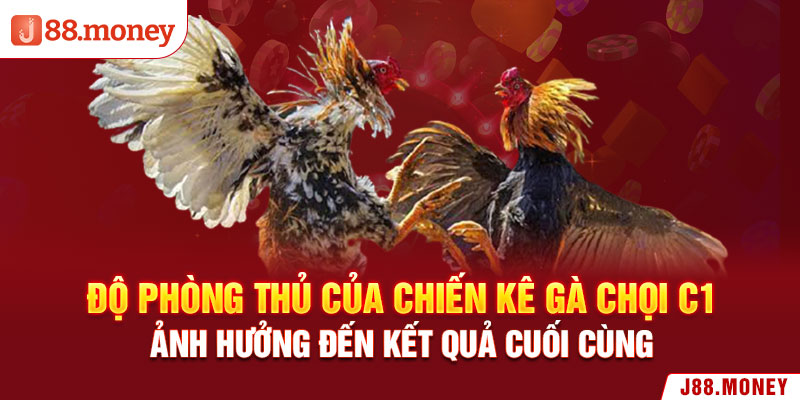 Độ phòng thủ của chiến kê gà chọi C1 ảnh hưởng đến kết quả cuối cùng 