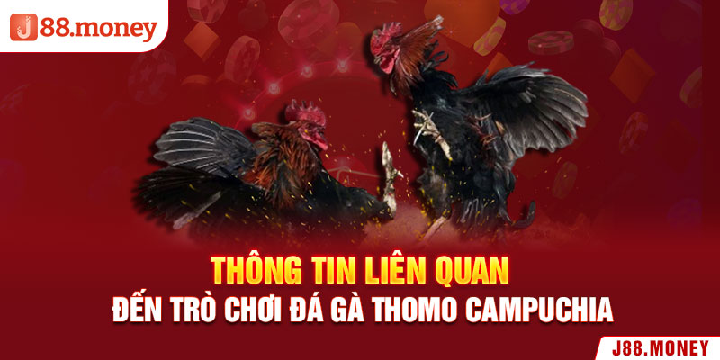 Thông tin liên quan đến trò chơi đá gà Thomo Campuchia 