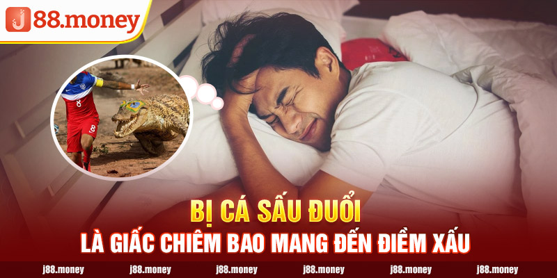 Bị cá sấu đuổi là giấc chiêm bao mang đến điềm xấu