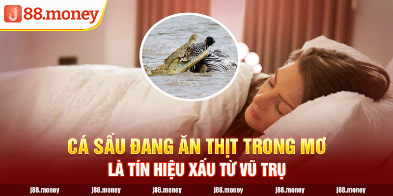 Cá sấu đang ăn thịt trong mơ là tín hiệu xấu từ vũ trụ