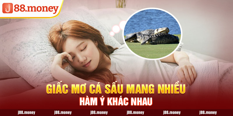 Giấc mơ cá sấu mang nhiều hàm ý khác nhau