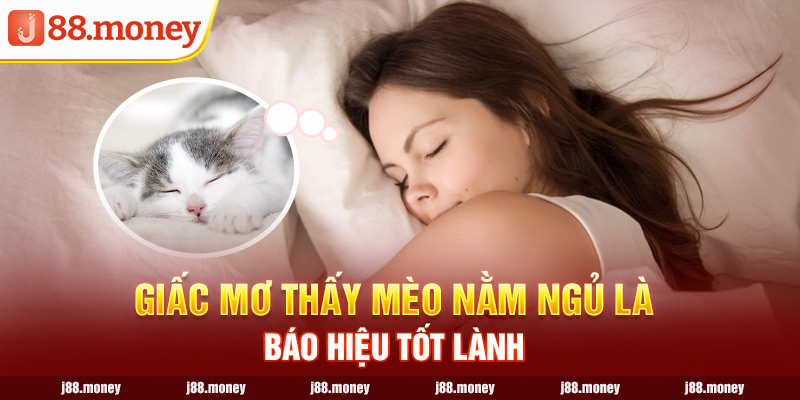 Giấc mơ thấy mèo nằm ngủ là báo hiệu tốt lành