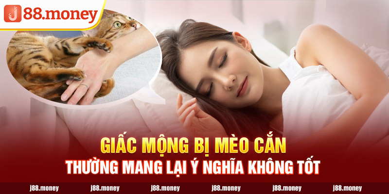 Giấc mộng bị mèo cắn thường mang lại ý nghĩa không tốt