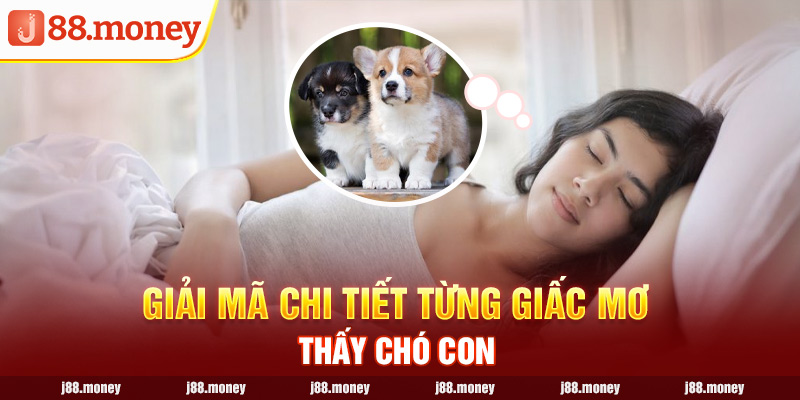 Giải mã chi tiết từng giấc mơ thấy chó con