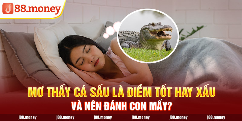 Mơ Thấy Cá Sấu Là Điềm Tốt Hay Xấu Và Nên Đánh Con Mấy?