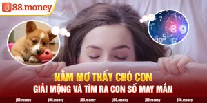 Nằm mơ thấy chó con - Giải mộng và tìm ra con số may mắn