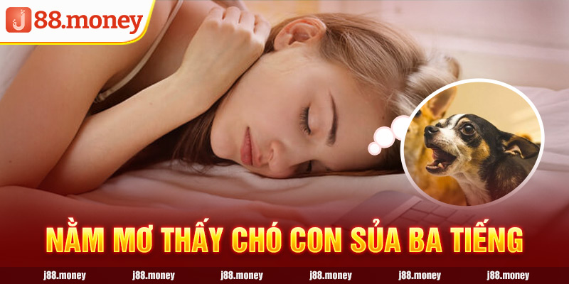 Nằm mơ thấy chó con sủa ba tiếng 