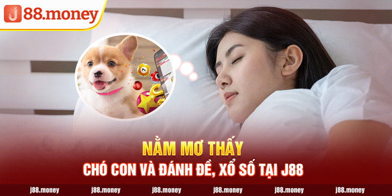 Nằm mơ thấy chó con và đánh đề, xổ số tại J88