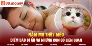 Nằm Mơ Thấy Mèo - Điềm Báo Bí Ẩn Và Những Con Số Liên Quan