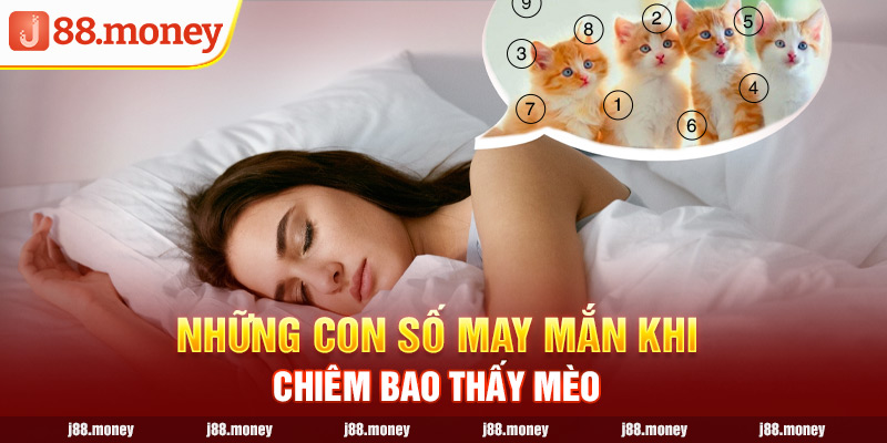 Những con số may mắn khi chiêm bao thấy mèo