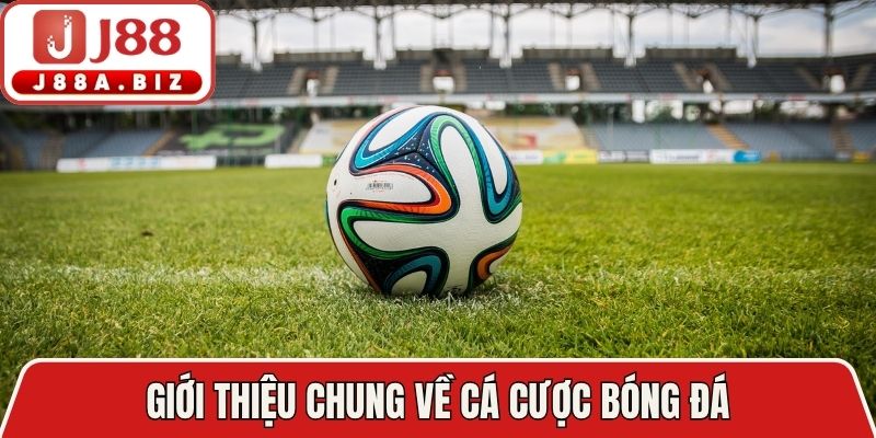 Giới thiệu chung về cá cược bóng đá