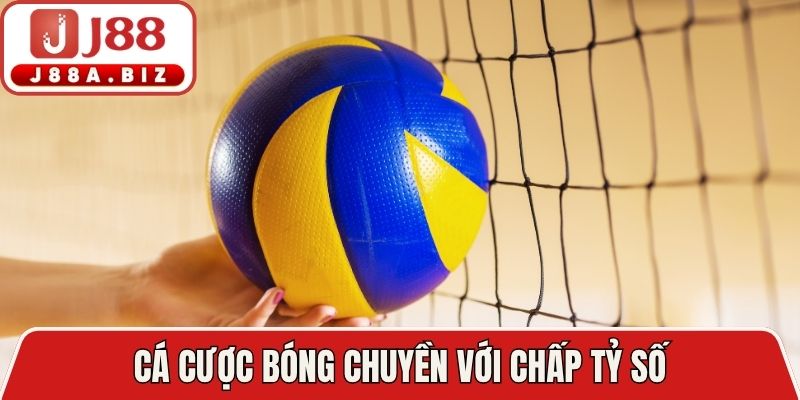 Quy tắc vị trí trong cá cược bóng chuyền